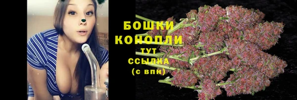 каннабис Белокуриха