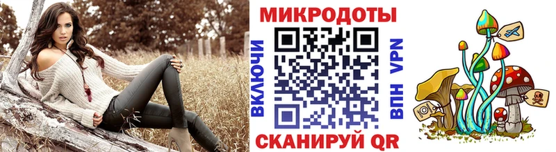 Галлюциногенные грибы Cubensis  Будённовск 